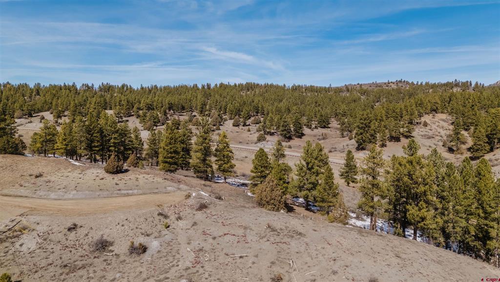 230 Kristina Court Pagosa Springs CO 81147