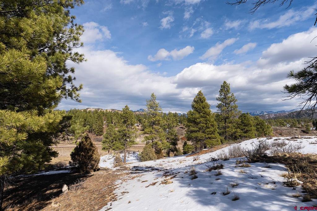 230 Kristina Court Pagosa Springs CO 81147