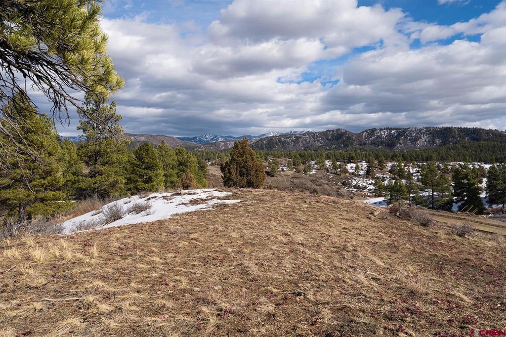 230 Kristina Court Pagosa Springs CO 81147