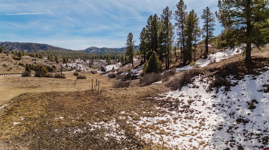 230 Kristina Court Pagosa Springs CO 81147
