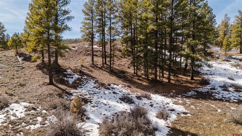 230 Kristina Court Pagosa Springs CO 81147