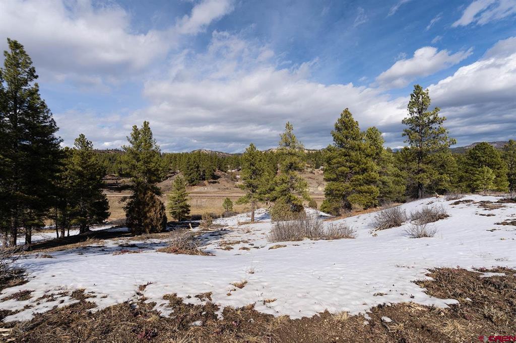 230 Kristina Court Pagosa Springs CO 81147