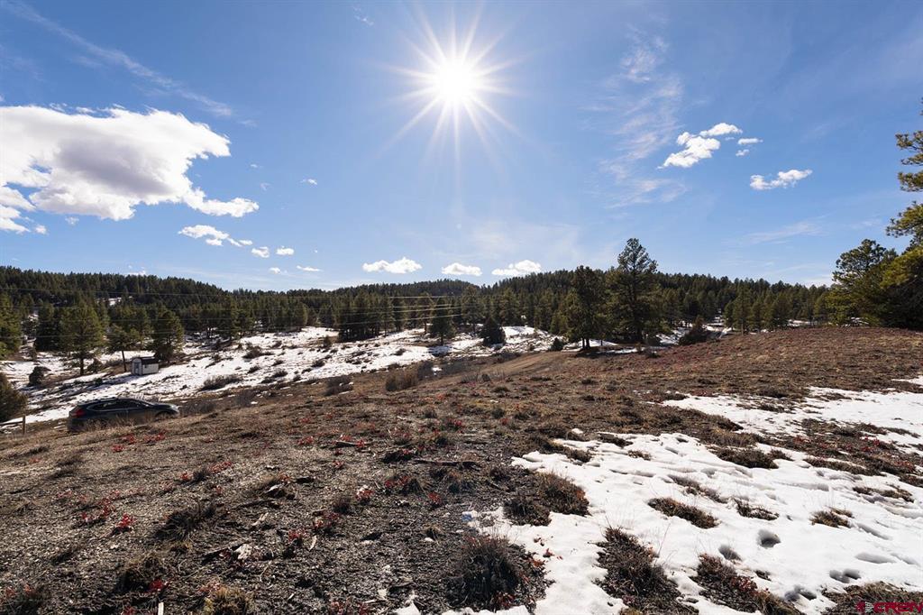 230 Kristina Court Pagosa Springs CO 81147