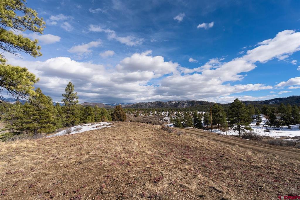 230 Kristina Court Pagosa Springs CO 81147