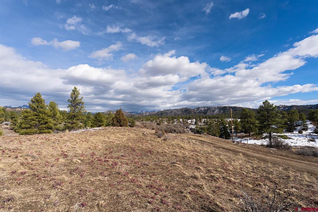 230 Kristina Court Pagosa Springs CO 81147