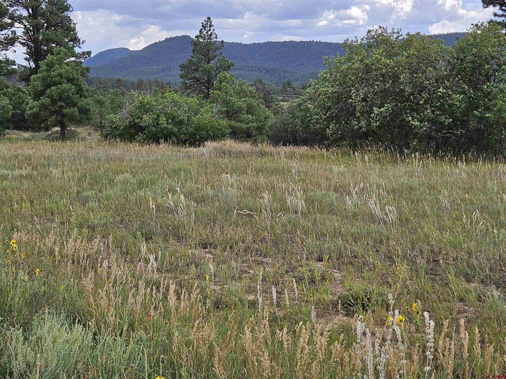 250 Prospect Boulevard Pagosa Springs CO 81147