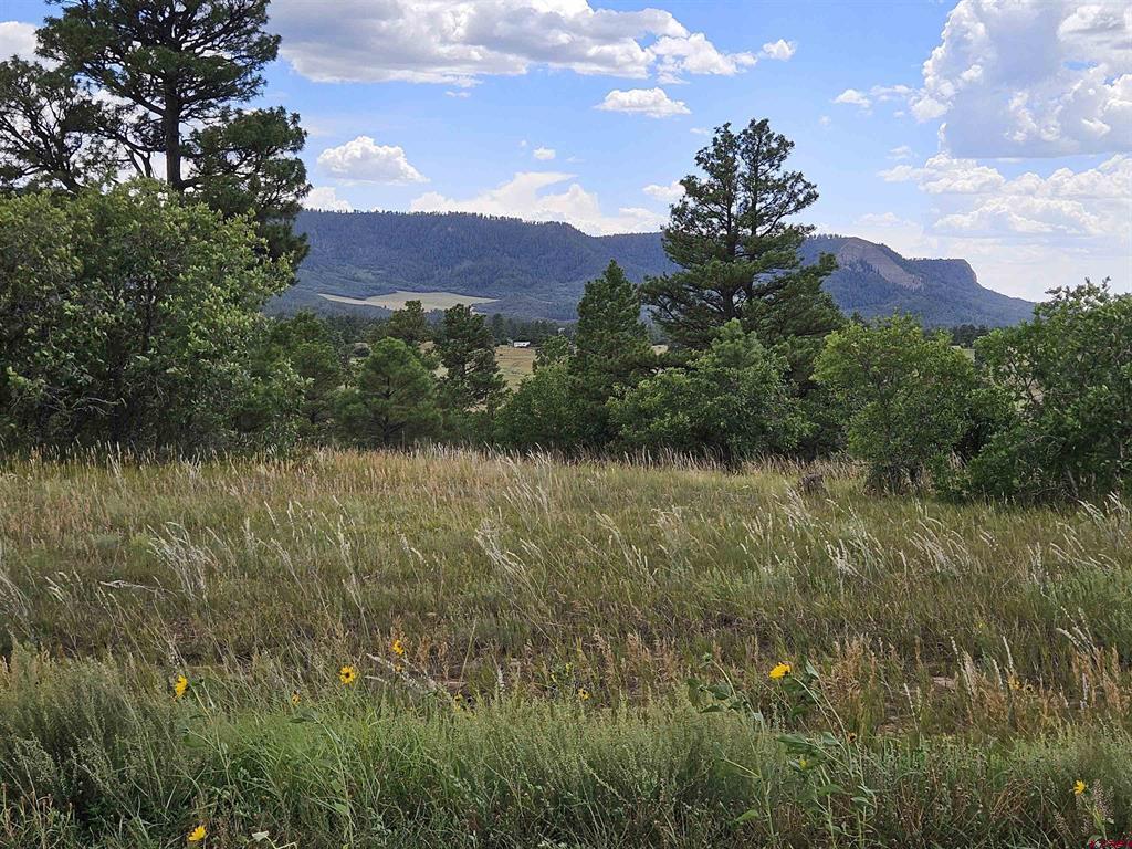 250 Prospect Boulevard Pagosa Springs CO 81147