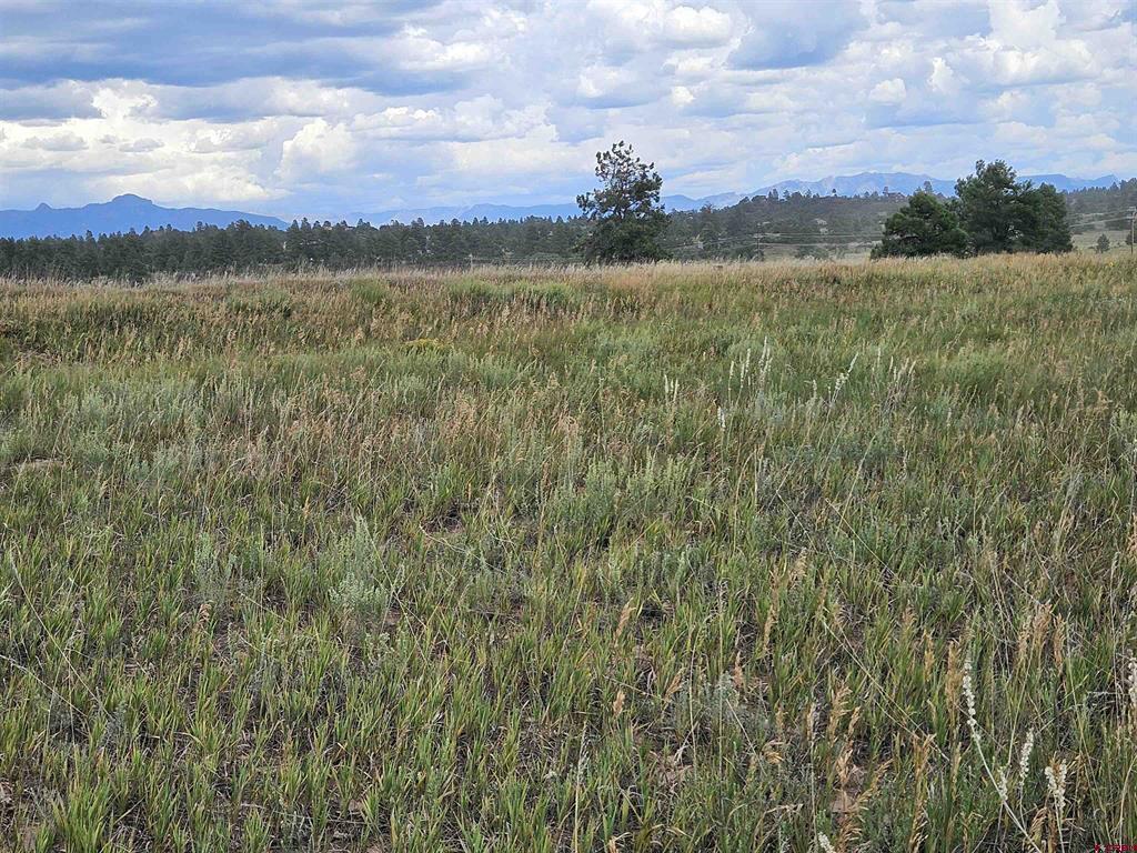 250 Prospect Boulevard Pagosa Springs CO 81147