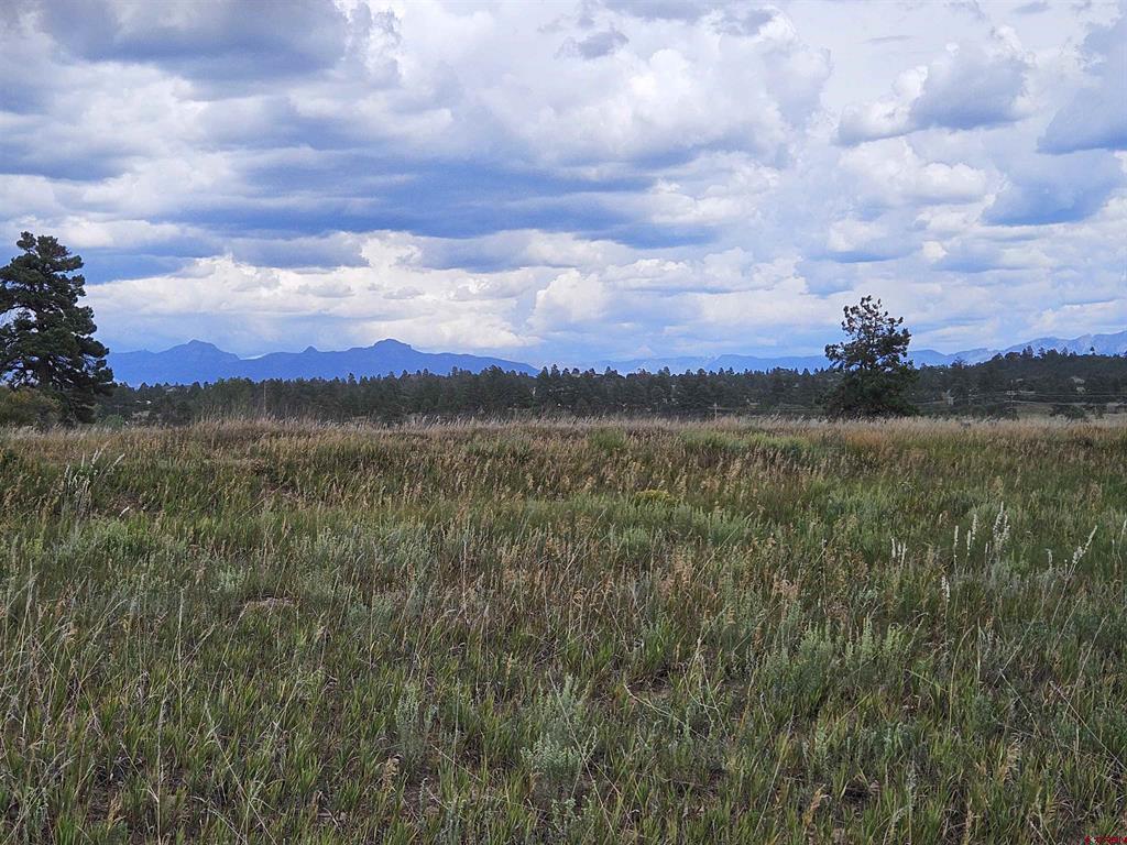 250 Prospect Boulevard Pagosa Springs CO 81147