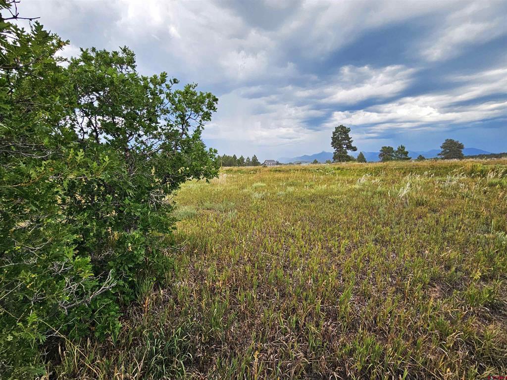250 Prospect Boulevard Pagosa Springs CO 81147