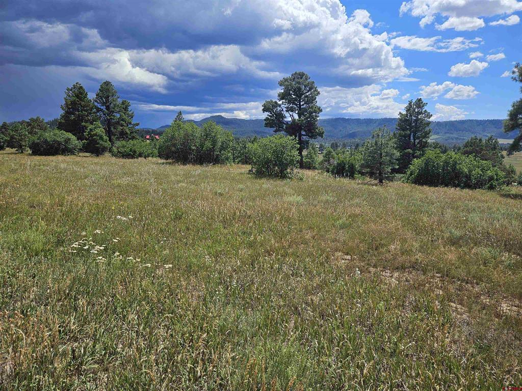 250 Prospect Boulevard Pagosa Springs CO 81147