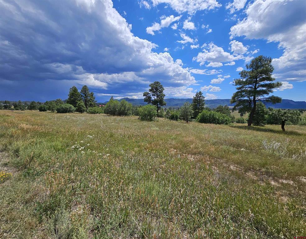 250 Prospect Boulevard Pagosa Springs CO 81147