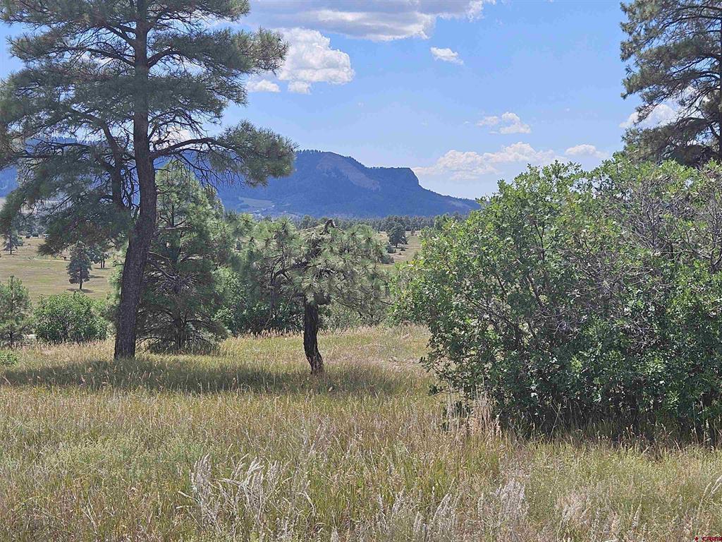 250 Prospect Boulevard Pagosa Springs CO 81147