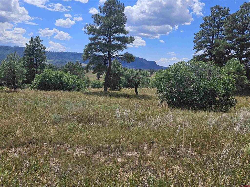 250 Prospect Boulevard Pagosa Springs CO 81147