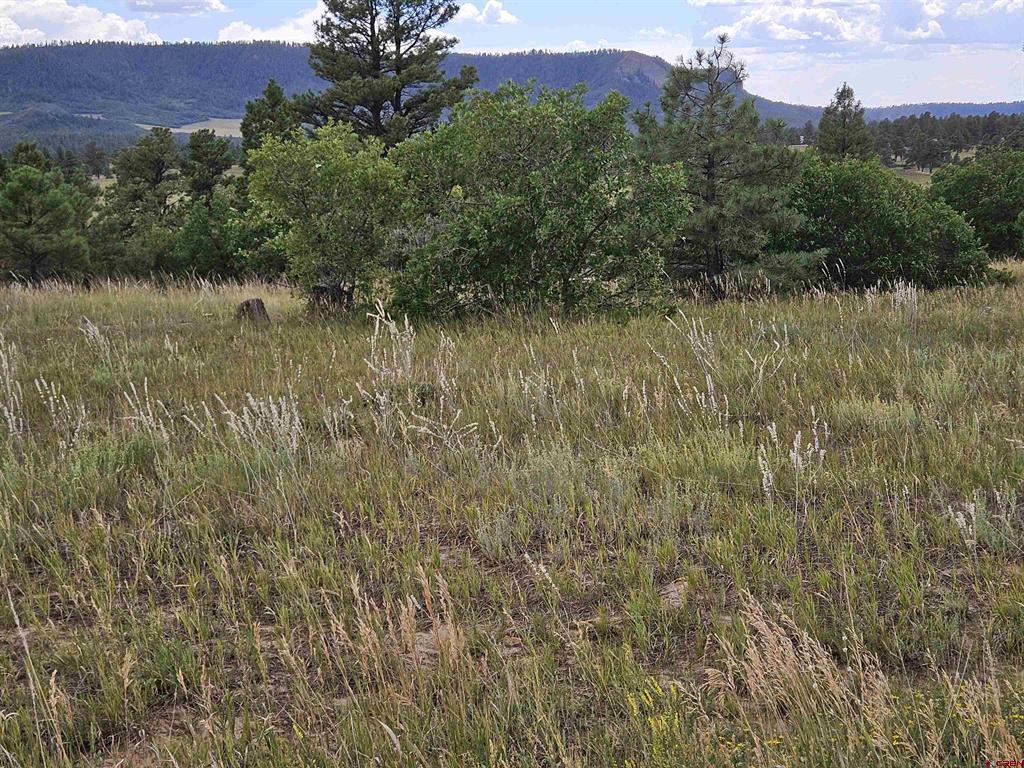 250 Prospect Boulevard Pagosa Springs CO 81147