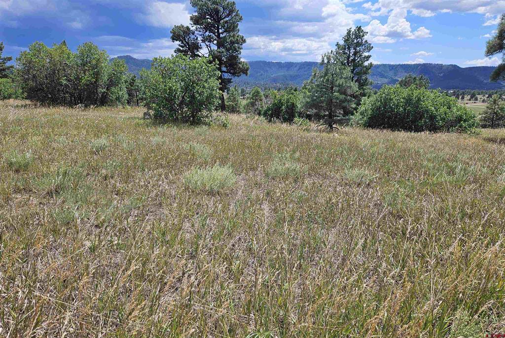 250 Prospect Boulevard Pagosa Springs CO 81147