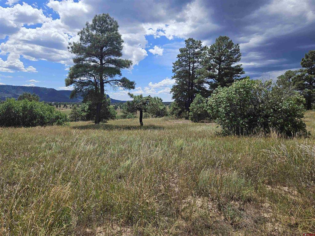250 Prospect Boulevard Pagosa Springs CO 81147