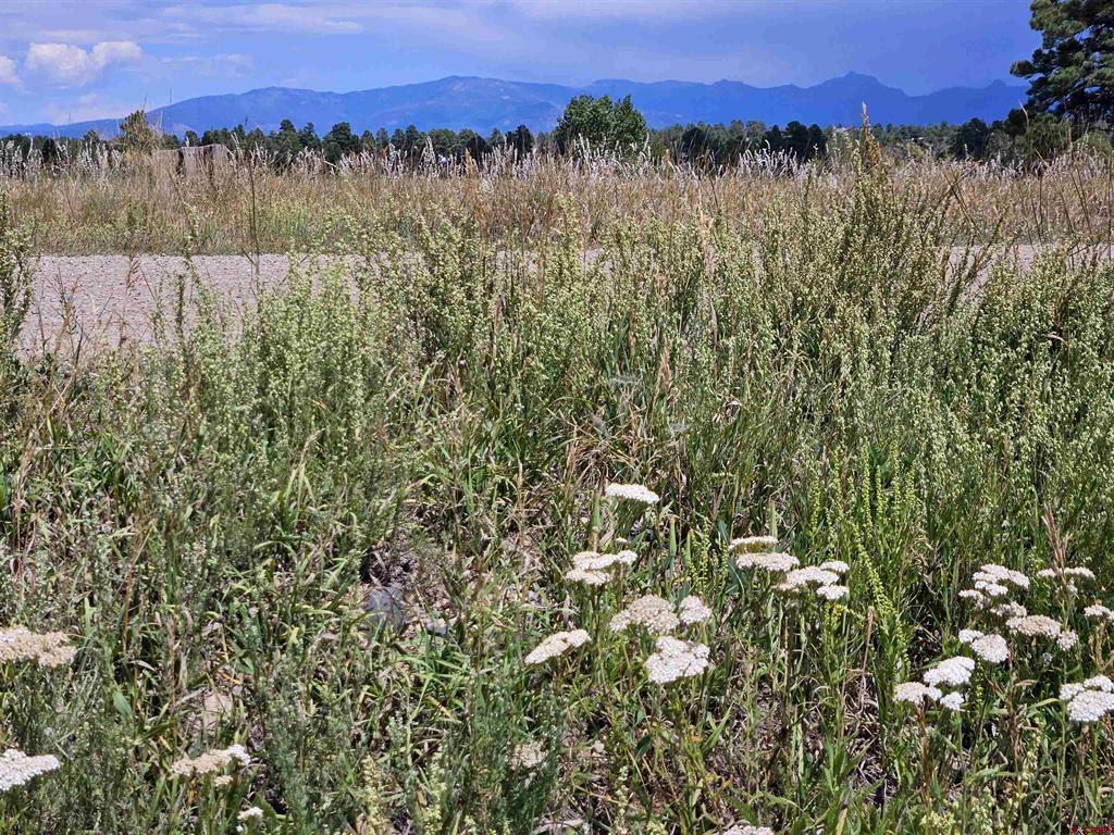 250 Prospect Boulevard Pagosa Springs CO 81147