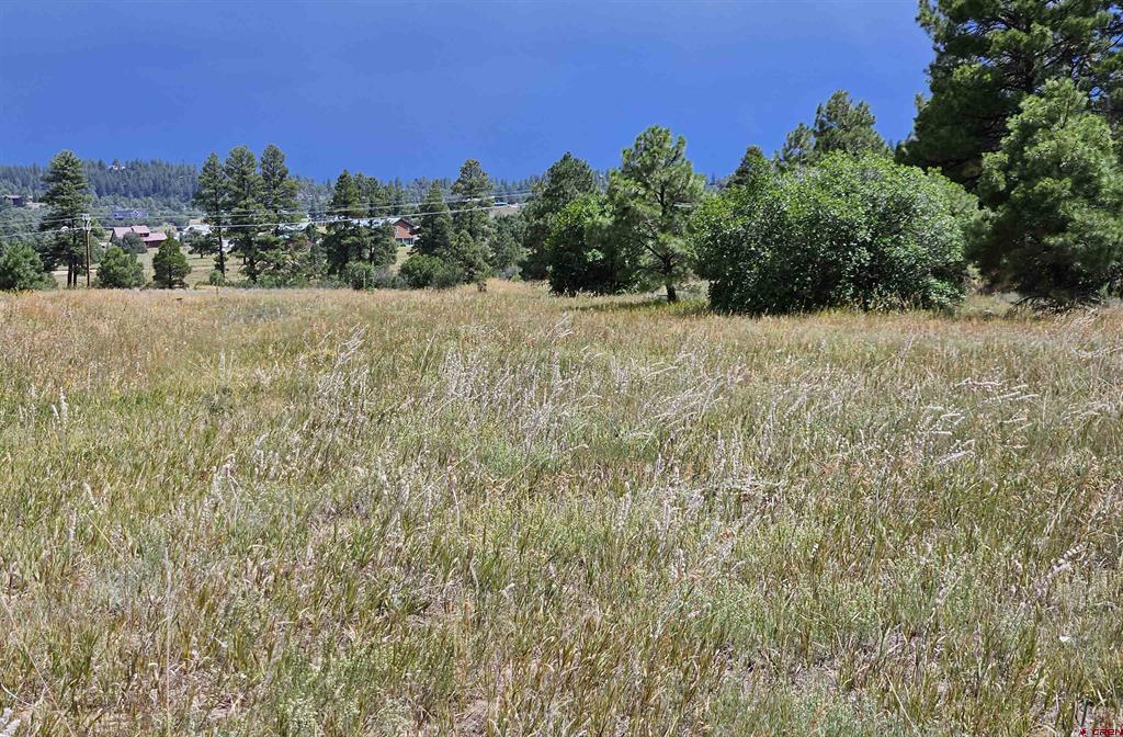 250 Prospect Boulevard Pagosa Springs CO 81147