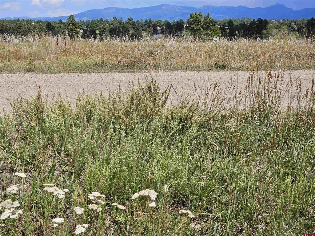 250 Prospect Boulevard Pagosa Springs CO 81147