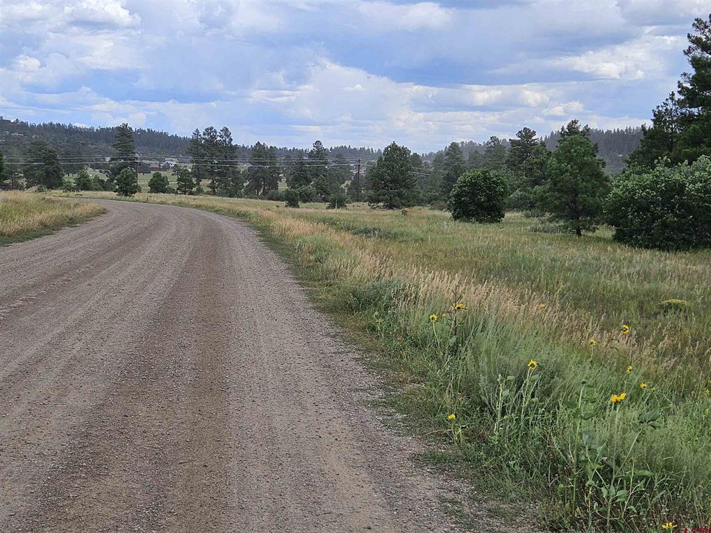 250 Prospect Boulevard Pagosa Springs CO 81147