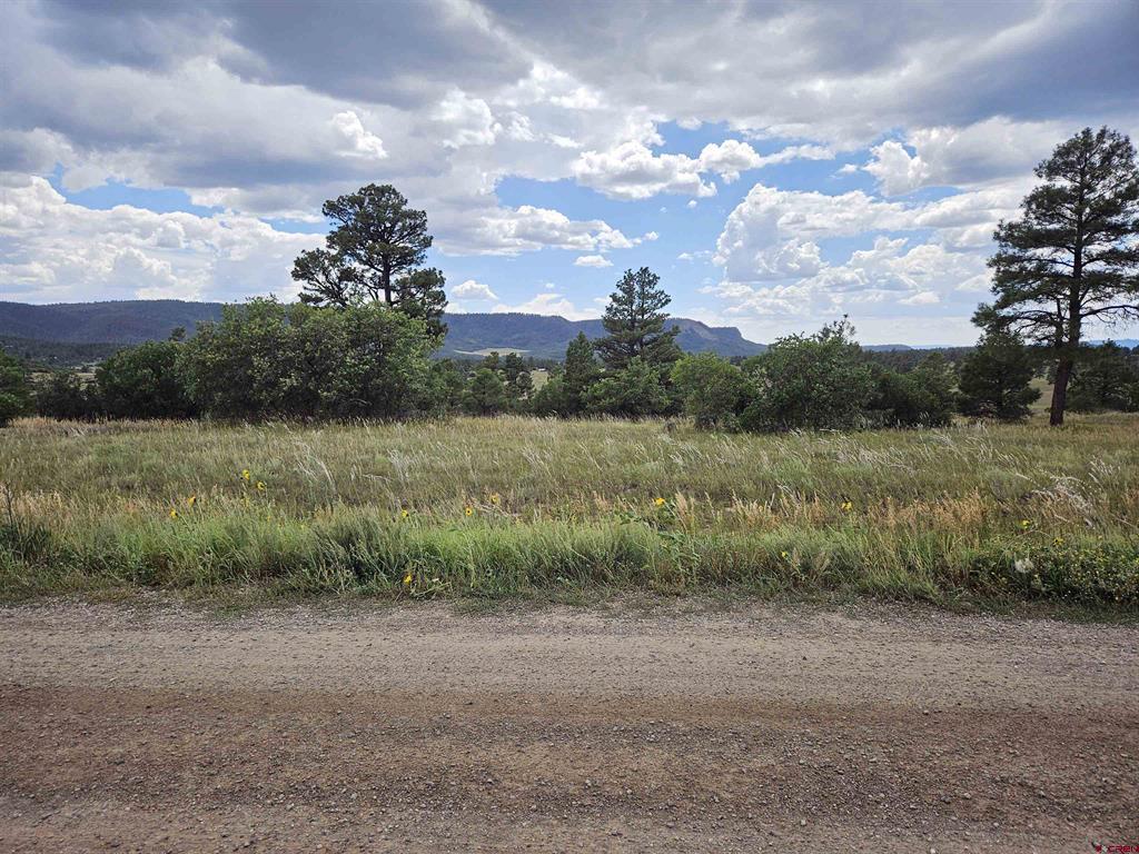 250 Prospect Boulevard Pagosa Springs CO 81147