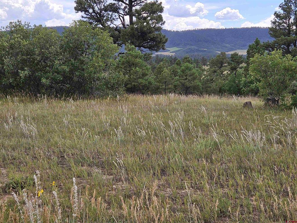 250 Prospect Boulevard Pagosa Springs CO 81147
