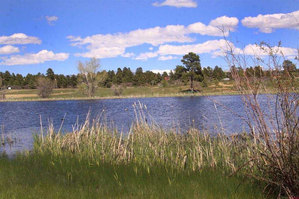 250 Prospect Boulevard Pagosa Springs CO 81147