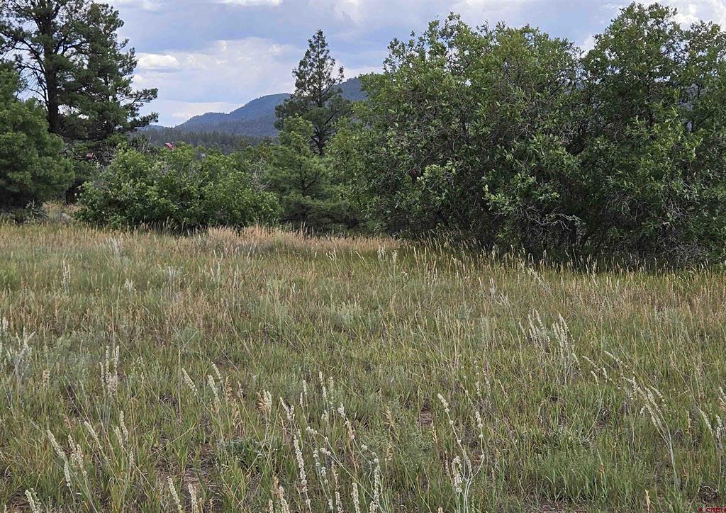 250 Prospect Boulevard Pagosa Springs CO 81147