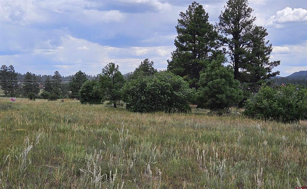 250 Prospect Boulevard Pagosa Springs CO 81147