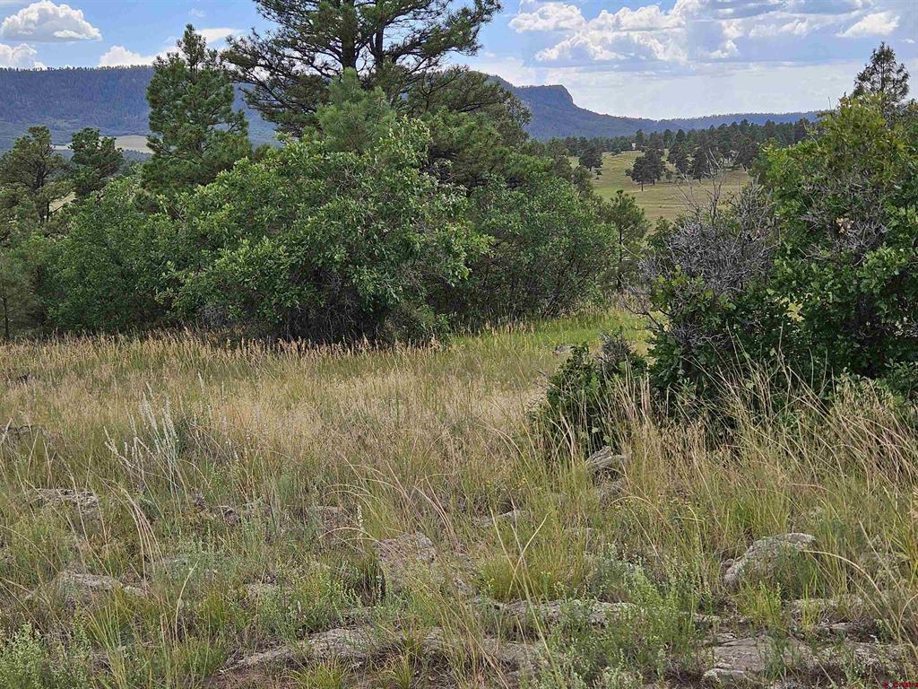 250 Prospect Boulevard Pagosa Springs CO 81147