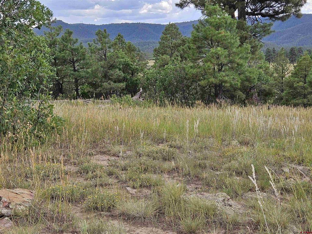 250 Prospect Boulevard Pagosa Springs CO 81147