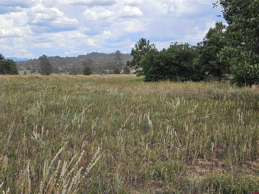 250 Prospect Boulevard Pagosa Springs CO 81147