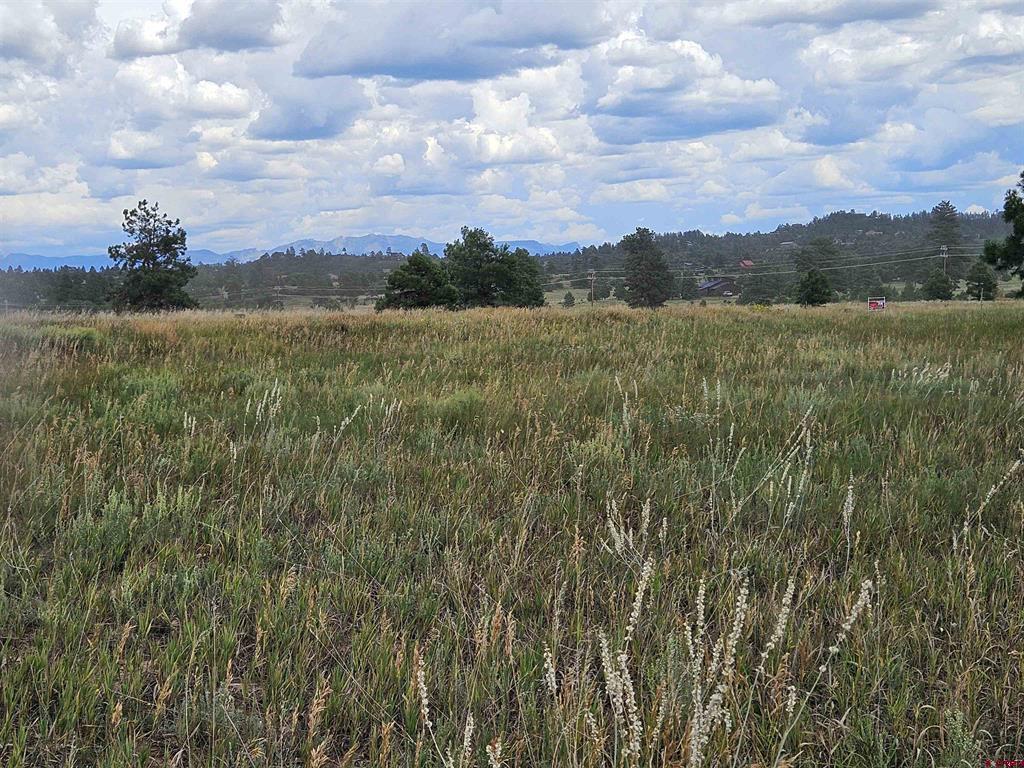 250 Prospect Boulevard Pagosa Springs CO 81147