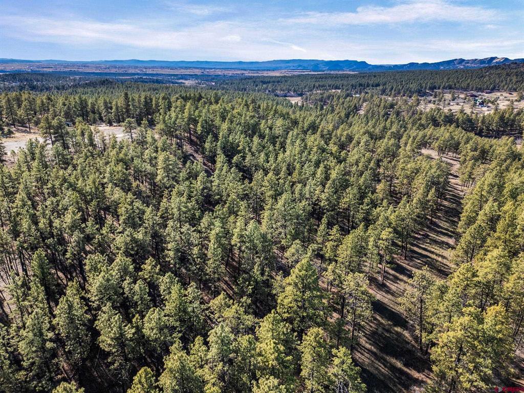 5561 County Road 228 Durango CO 81301