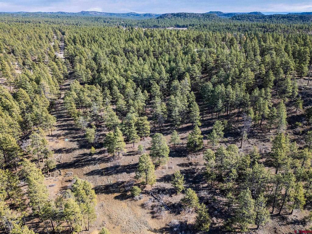 5561 County Road 228 Durango CO 81301