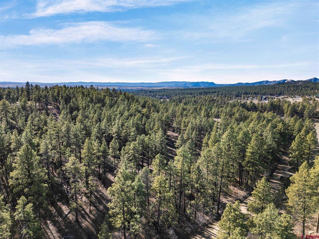 5561 County Road 228 Durango CO 81301