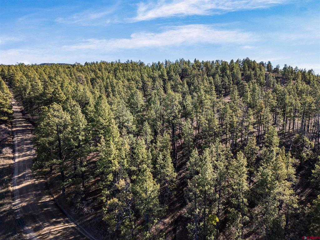 5561 County Road 228 Durango CO 81301