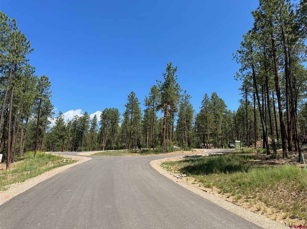 1067 Red Canyon Trail Durango CO 81301