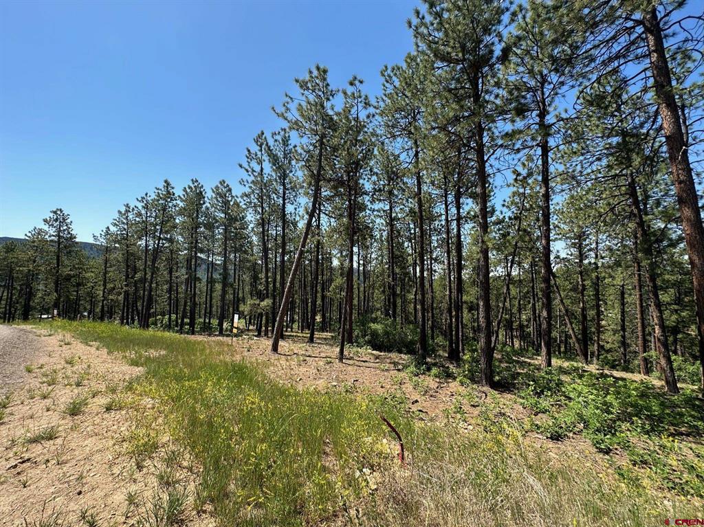 1067 Red Canyon Trail Durango CO 81301