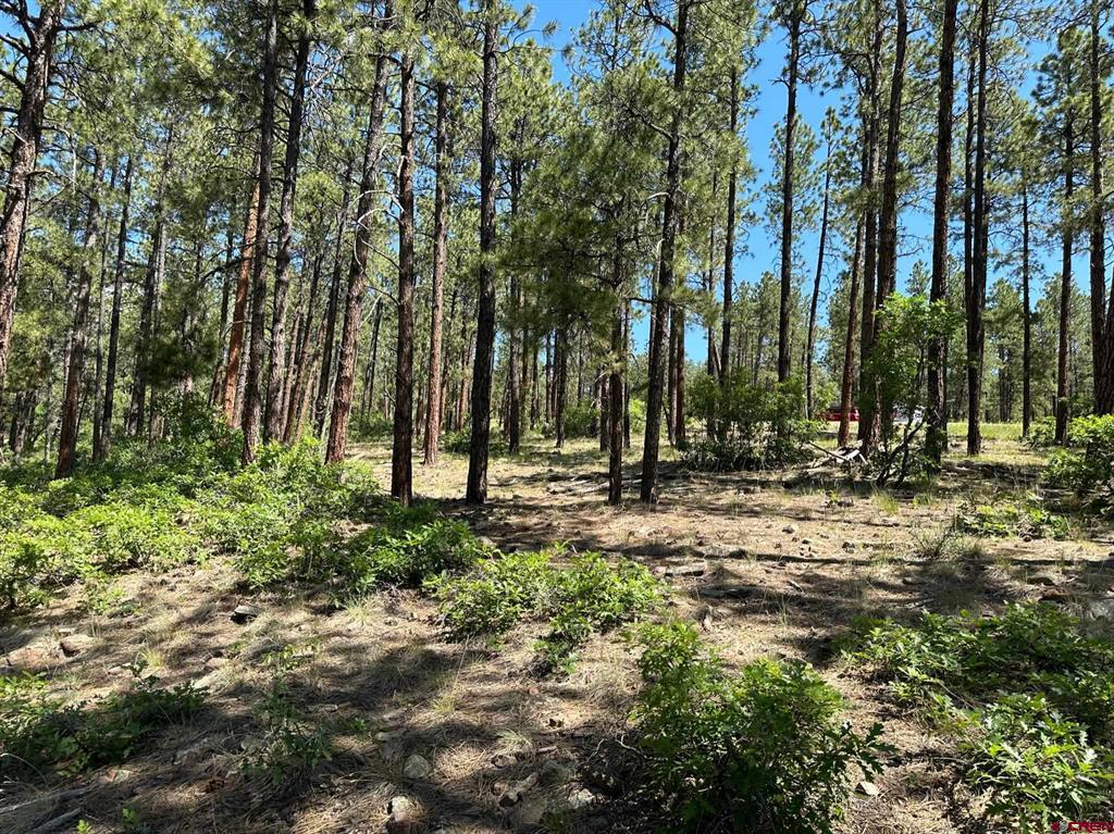 1067 Red Canyon Trail Durango CO 81301