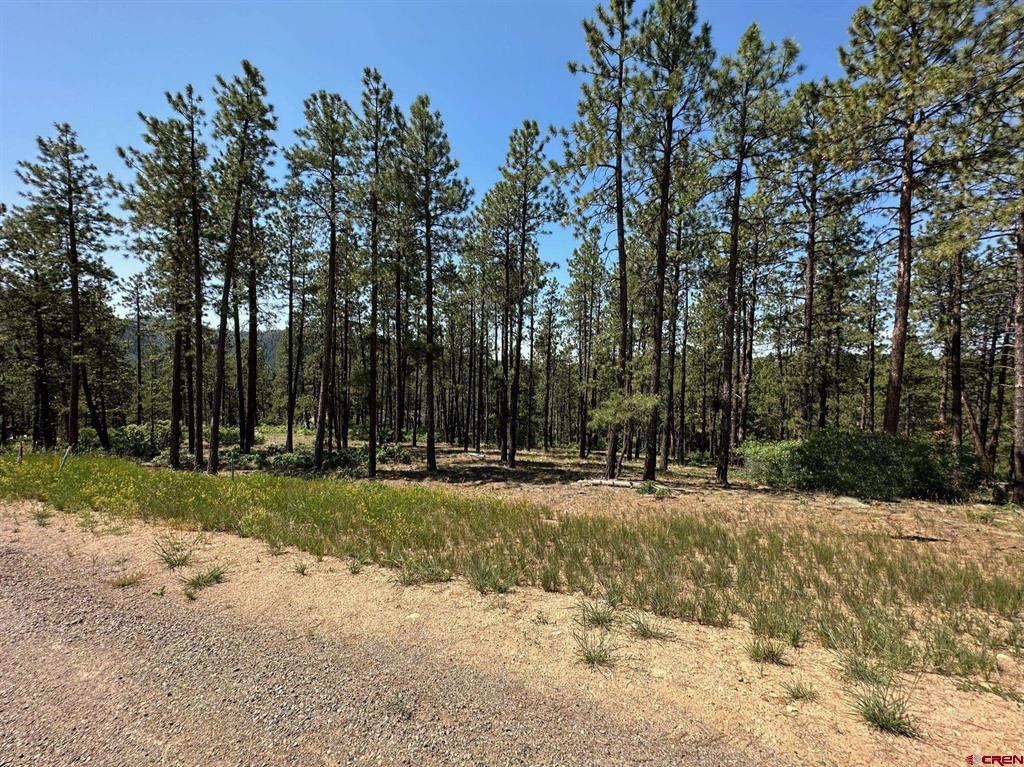 1067 Red Canyon Trail Durango CO 81301