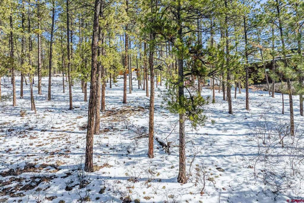 1067 Red Canyon Trail Durango CO 81301