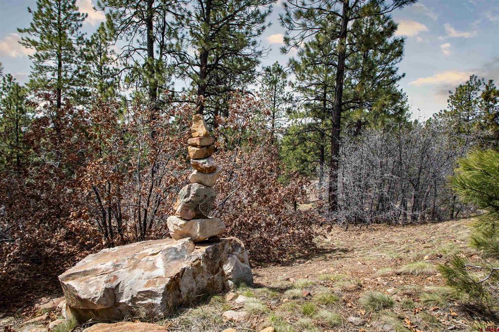 1067 Red Canyon Trail Durango CO 81301