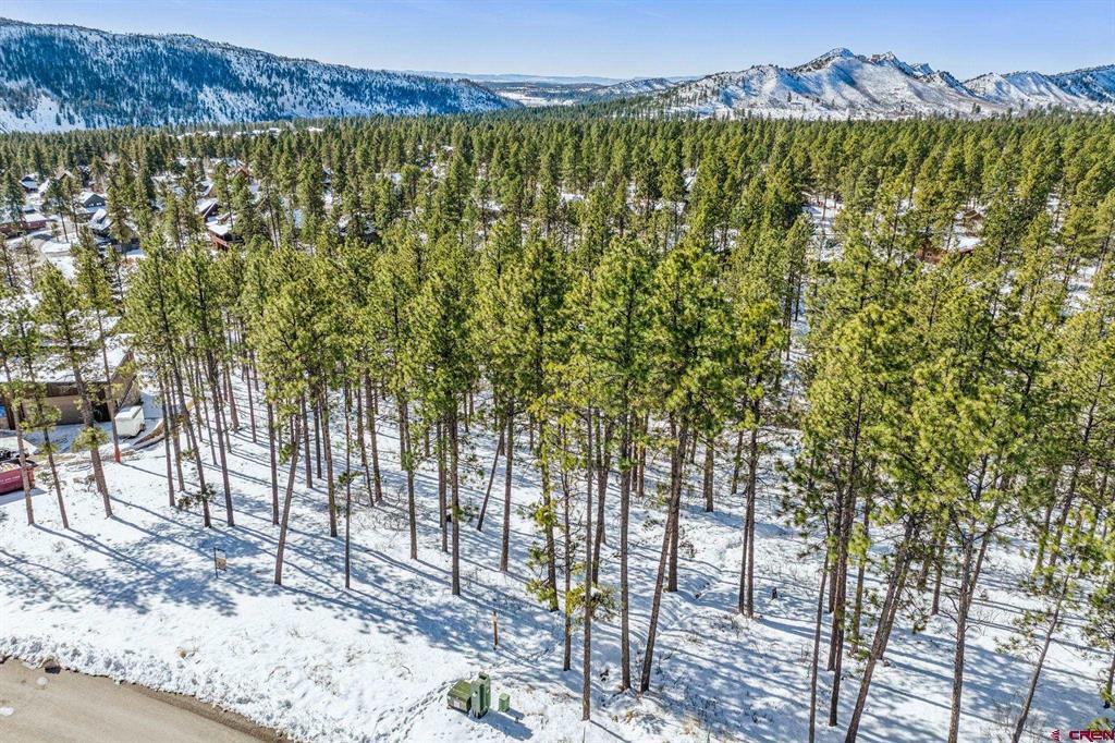 1067 Red Canyon Trail Durango CO 81301