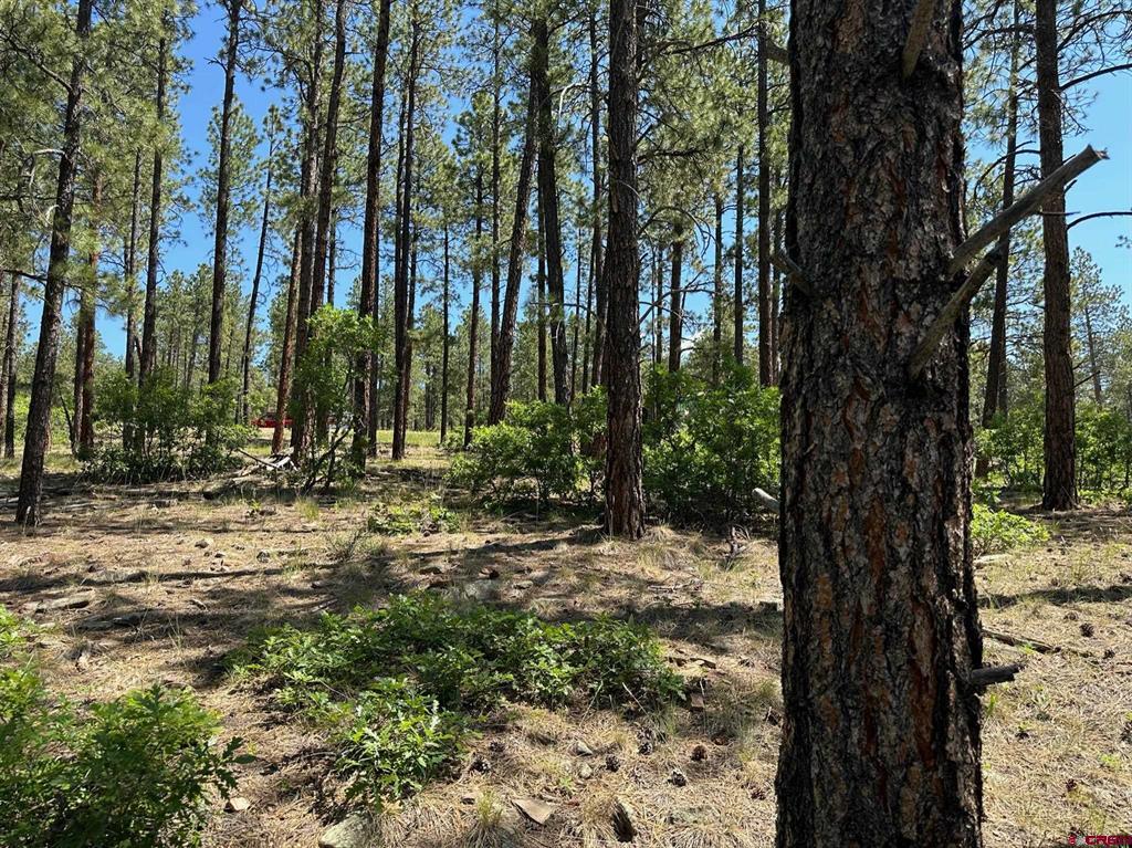 1067 Red Canyon Trail Durango CO 81301