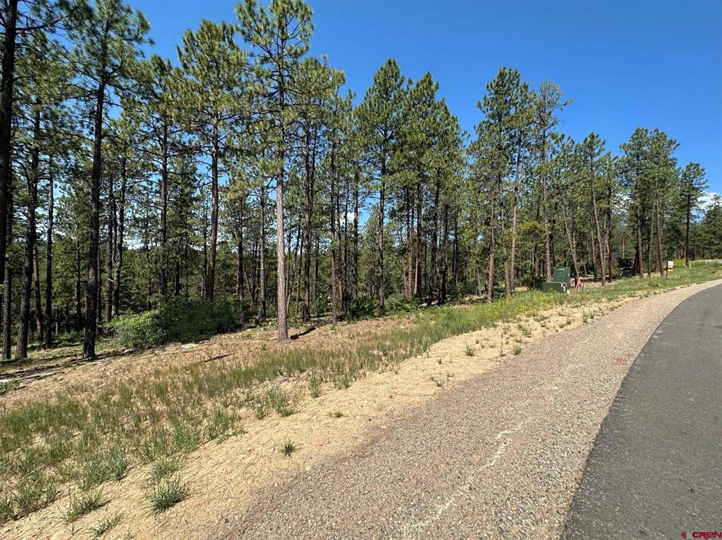 1067 Red Canyon Trail Durango CO 81301