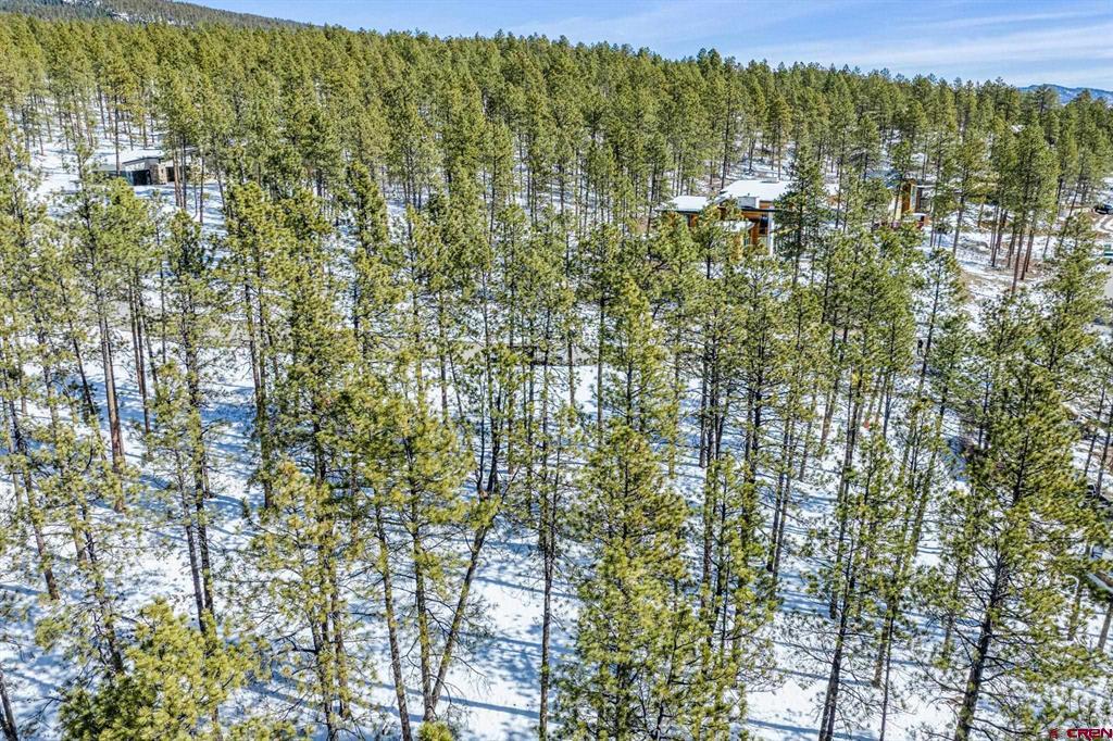 1067 Red Canyon Trail Durango CO 81301