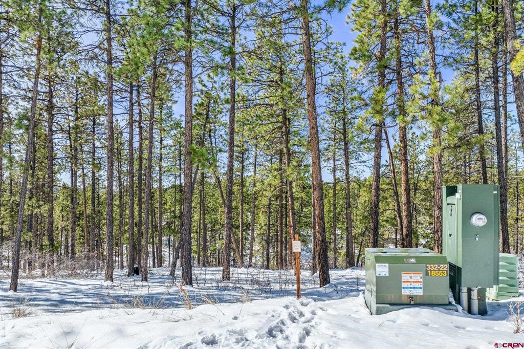 1067 Red Canyon Trail Durango CO 81301