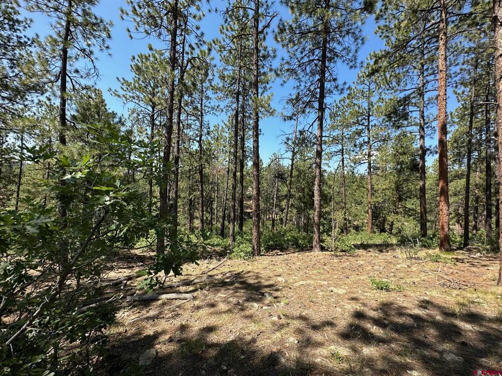 1067 Red Canyon Trail Durango CO 81301